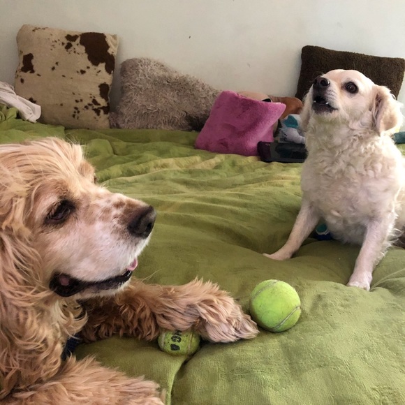 โก๏ธ๐ WELCOME TO 2ND BOHO CLOSET ๐โก๏ธ - Picture 6 of 16